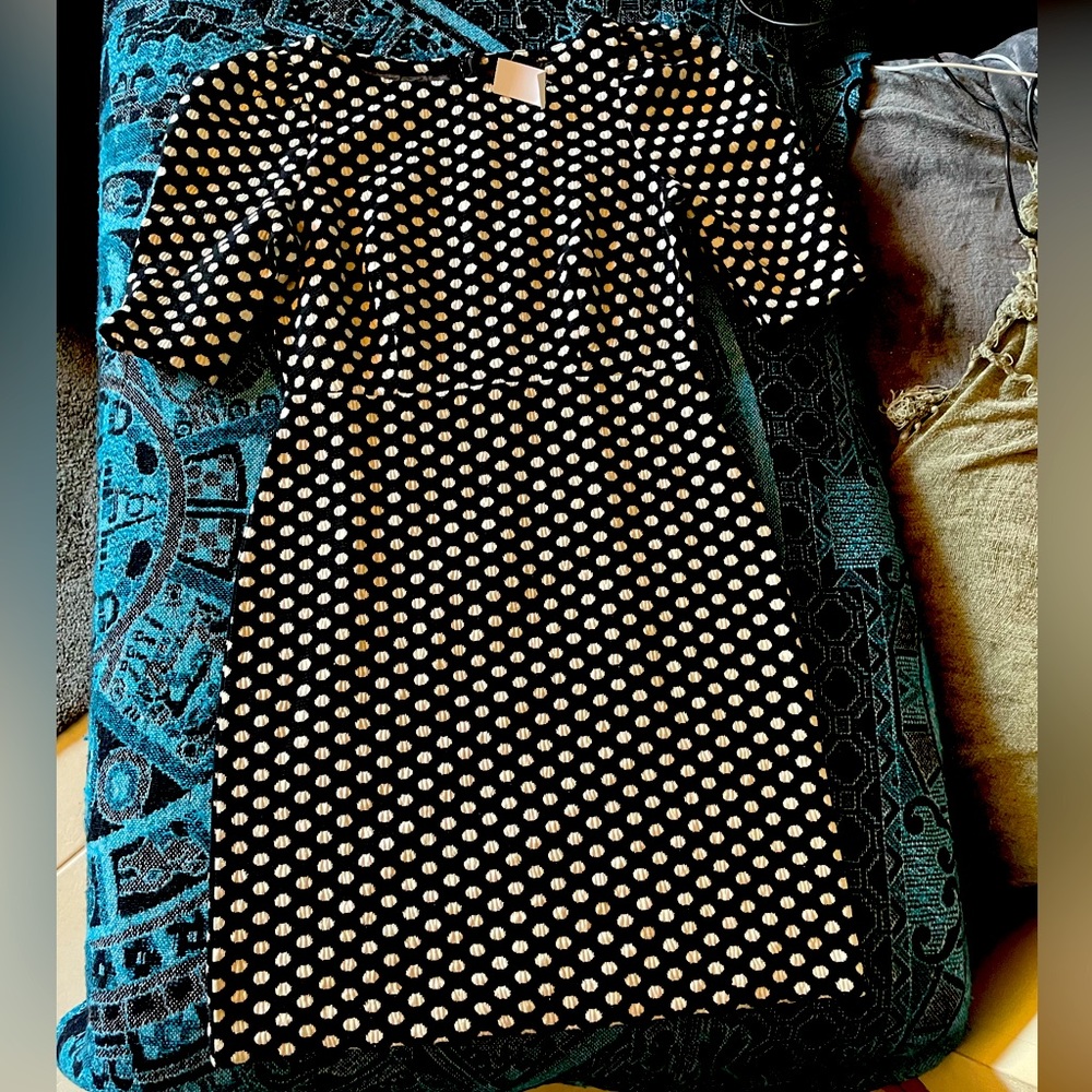 Ann Taylor block and white polka dot dress